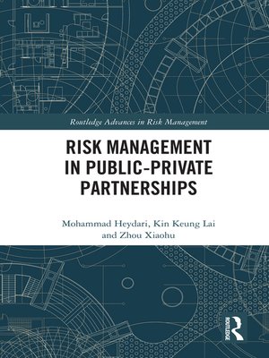 cover image of Risk Management in Public-Private Partnerships